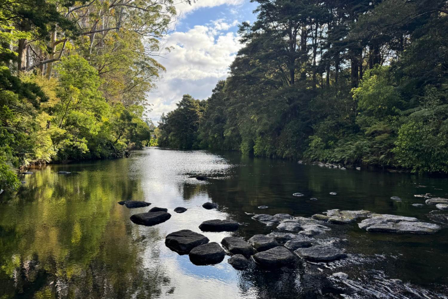 The Kerikeri River in Northland: still water reflecting native bush, with stepping stones in the foreground